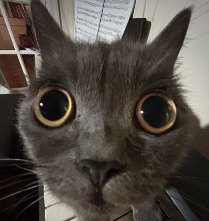 <em>Vyasadev C.</em>